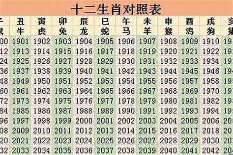 2006年是什麼年|2006年是什么年